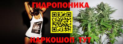 шишки Сланцы