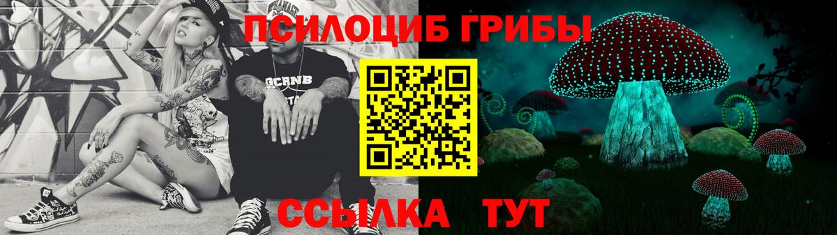 Пушкино  купить наркоту  Вход с VPN  Галлюциногенные грибы мухоморы 