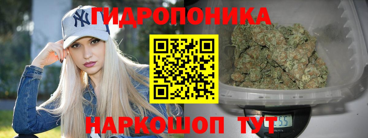 Канабис семена Пушкино